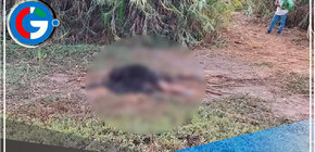 Misteriosa muerte en Carrizales: Hallan cadáver calcinado en Monsefú
