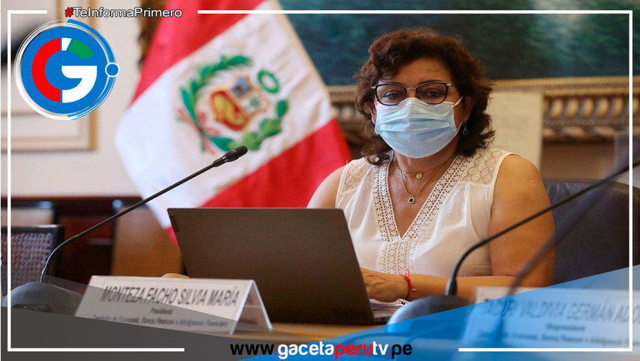 Silvia Monteza es la candidata de Acción Popular a segunda vicepresidencia