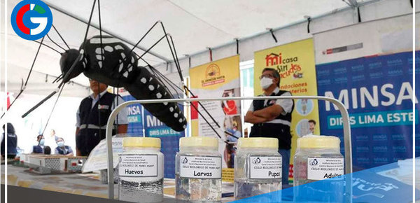 Minsa emite alerta epidemiológica por incremento de casos de dengue en el país