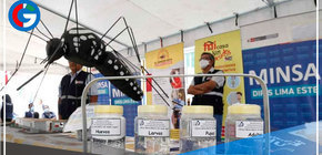 Minsa emite alerta epidemiológica por incremento de casos de dengue en el país