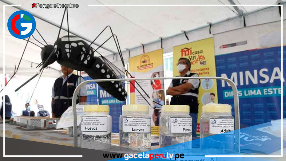Minsa emite alerta epidemiológica por incremento de casos de dengue en el país