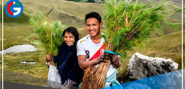 Cajamarca plantará un millón de árboles