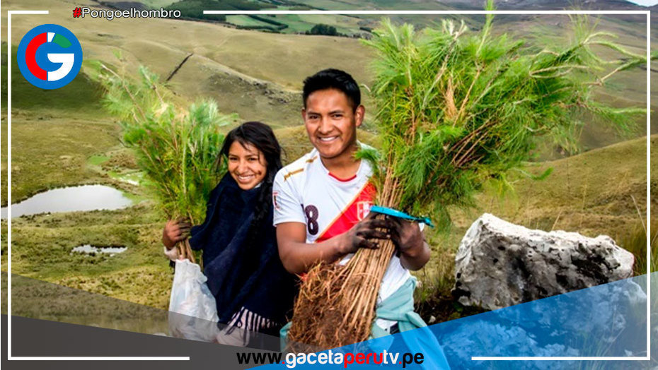 Cajamarca plantará un millón de árboles