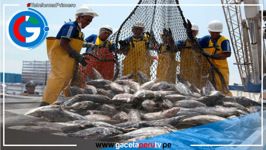 Segunda temporada de pesca genera más de US$1,000 millones
