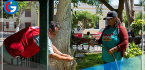 Distrito piurano se convirtió en un horno al registrar 39 °C, valor histórico