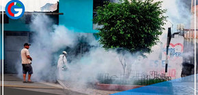 Autoridades de salud de Cajamarca confirman 26 casos de dengue