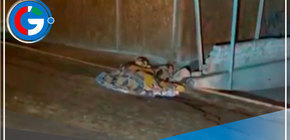 Sujetos mataron de varios disparos a hombre cuando bajaba de vehículo en San Juan de Lurigancho