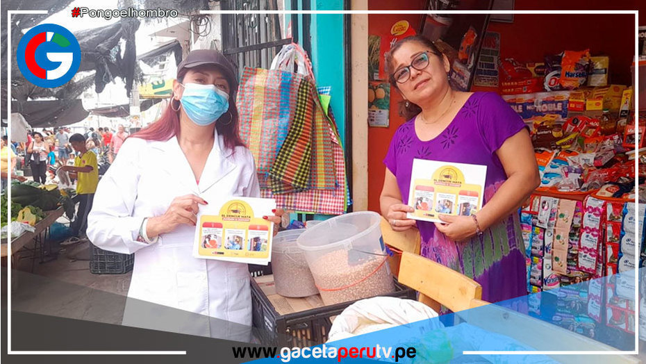Disponen 40 equipos de fumigación para evitar brote de dengue en Lima sur
