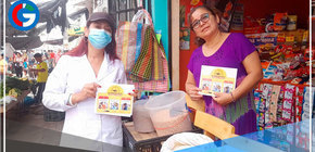 Disponen 40 equipos de fumigación para evitar brote de dengue en Lima sur