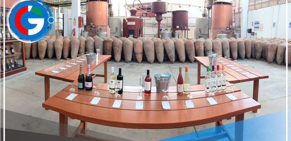 Exportaciones de pisco se incrementaron 45% en 2022