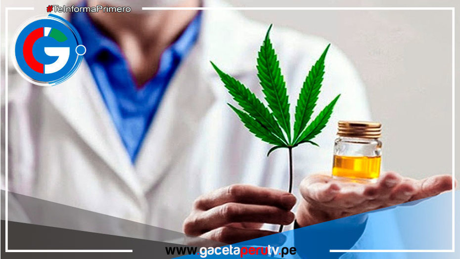 Minsa aprueba el uso medicinal y terapéutico del cannabis