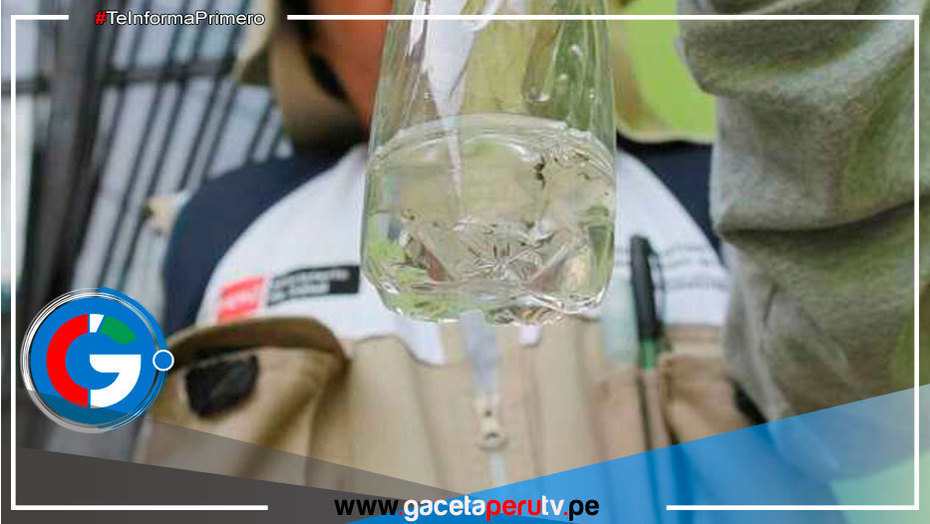 Piura: Se unen a la lucha contra el dengue en el distrito de Chulucanas