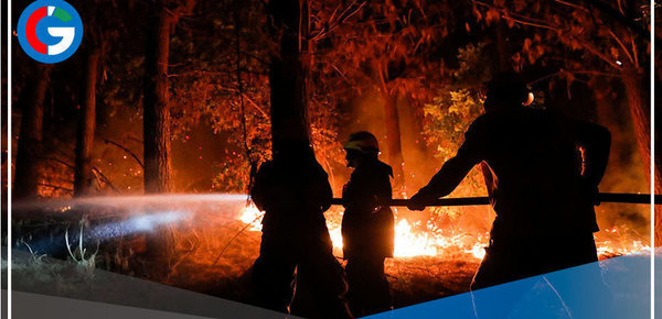 Aumentan a 26 los fallecidos por incendios forestales