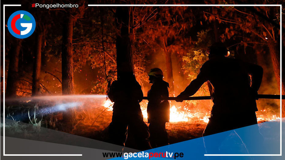 Aumentan a 26 los fallecidos por incendios forestales