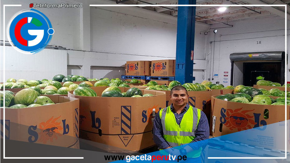 Agroexportaciones sumaron US$ 921 millones en enero