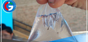 Confirman dos casos de dengue en la provincia de Casma