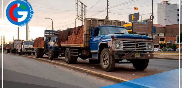Denuncian comercio ambulatorio de ladrillos en avenida Tomás Valle 