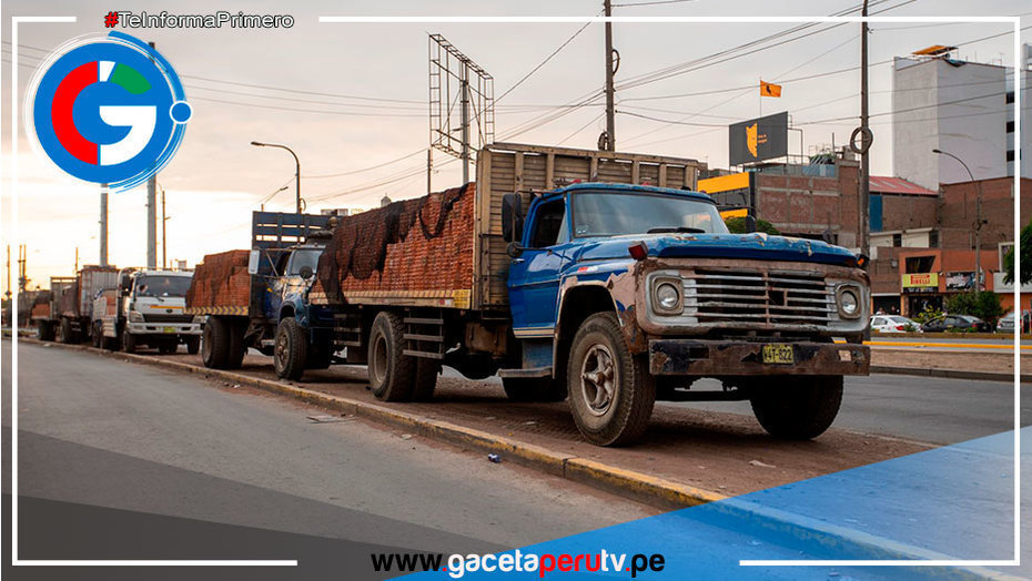 Denuncian comercio ambulatorio de ladrillos en avenida Tomás Valle