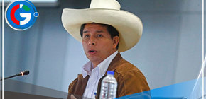 Ordenan 36 meses de prisión preventiva contra Pedro Castillo y Juan Silva