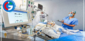 Aumentan los casos de niños quemados en un 60% en lo que va del 2023