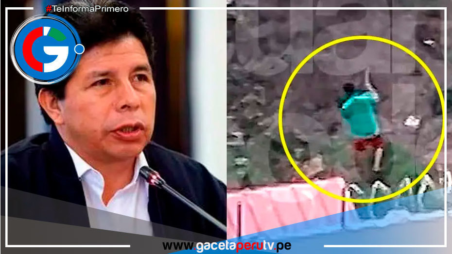 Pedro Castillo es descubierto cosechando papas y camotes