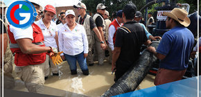 Dina Boluarte: Piuranos le dicen a presidenta que solo viene “para la foto” 