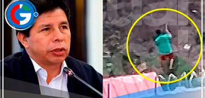 Pedro Castillo es descubierto cosechando papas y camotes 