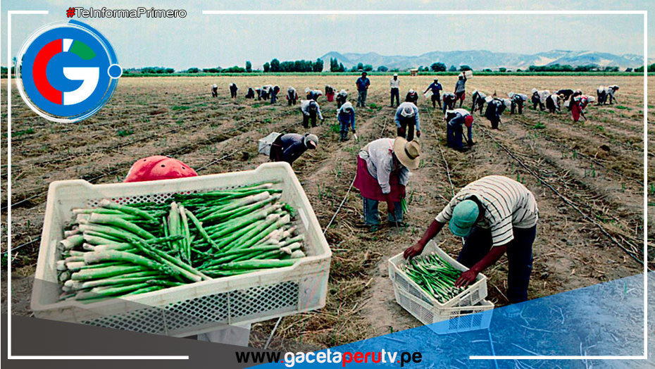 Prometen acelerar la entrega de seguro catastrófico para la siguiente campaña agrícola