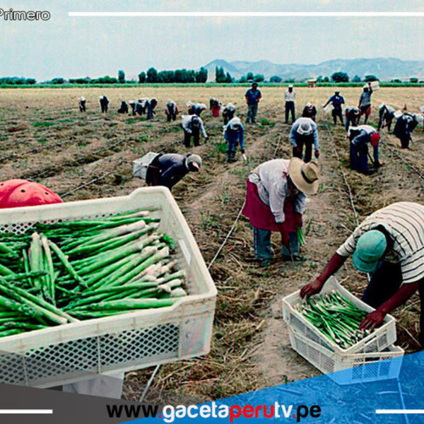 Prometen acelerar la entrega de seguro catastrófico para la siguiente campaña agrícola 