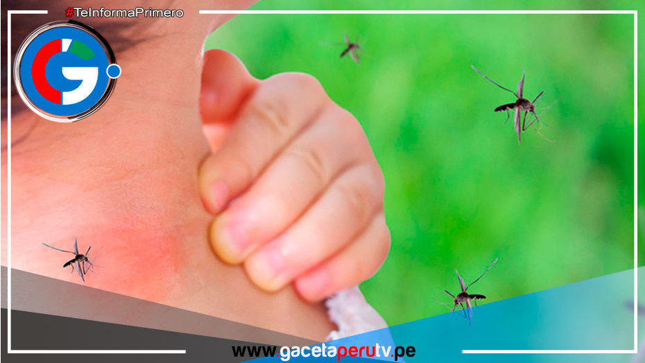 Combate contra el dengue