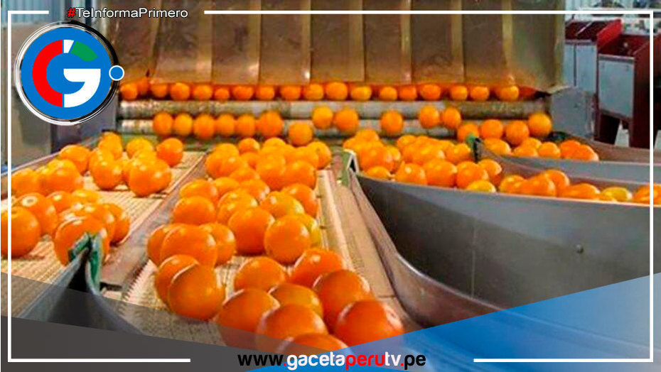Cítricos peruanos buscan la expansión por varios países del mundo
