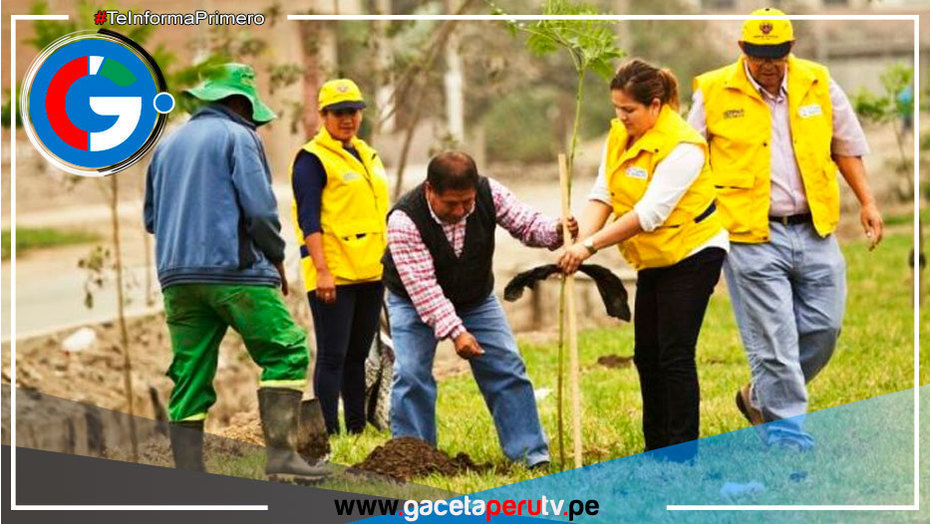 Se plantará 1,000 árboles por Dia de la Tierra