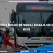 Corredor Morado retomará trabajando desde mayo 