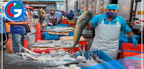 Largas colas de 2 horas en terminal Pesquero del Callao