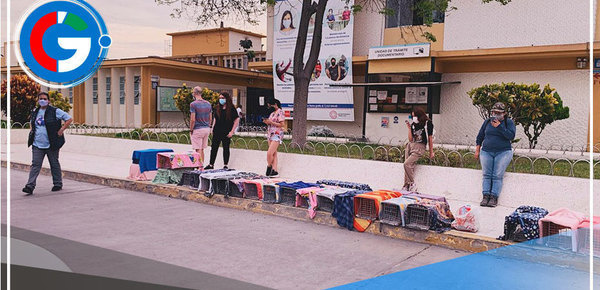 Denuncian a MINSA sobre el olvido de las mascotas abandonadas y la ley 4 patas