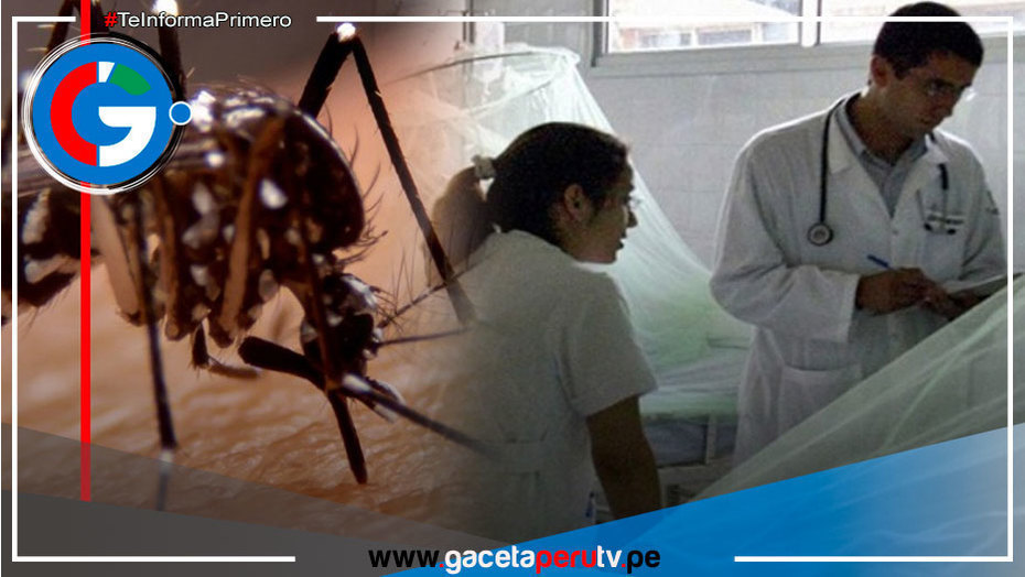 Conozca ¿Qué es el Dengue?