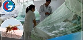 Ministra de Salud declaró que tienen todo controlado con respecto al dengue