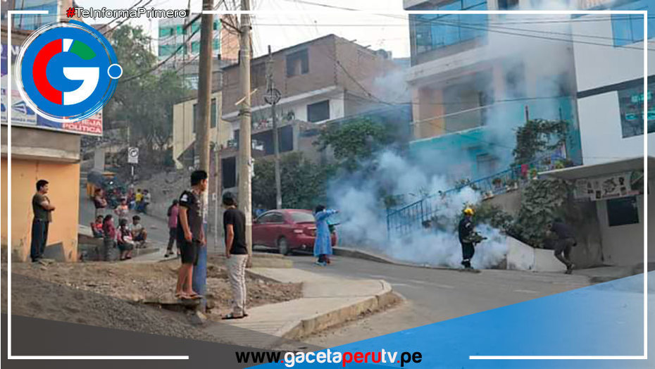 Ate: Comienzan a fumigar casas tras confirmar 317 casos de Dengue