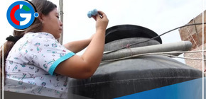 Piscina sin mantenimiento, agua mohosa y presencia de mosquitos alerta a vecinos de SJL