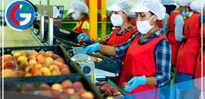 BCR: Crean 148 mil empleos formales 