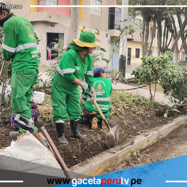40 mil mts2 de espacio público se recuperó en Collique 