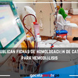 Pre-publican  fichas de homologación de catéter para hemodiálisis