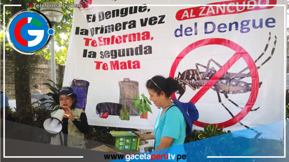 Colegio Médico: epidemia del dengue se ha desbordado en el Perú