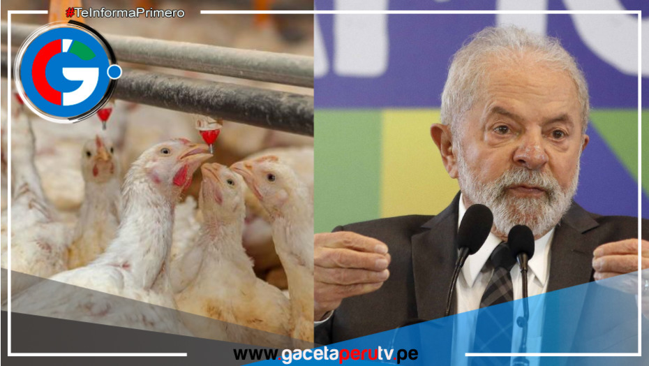 Brasil se declara en "emergencia zoosanitaria" por aumento de gripe aviar