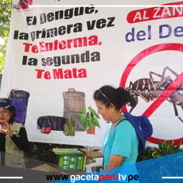 Colegio Médico: epidemia del dengue se ha desbordado en el Perú