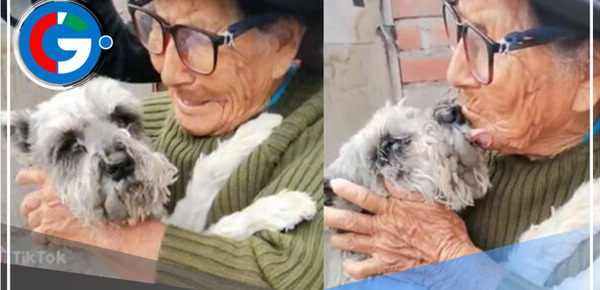 ¡Reencuentro de película! Abuelita de 103 años encontró a Raylu, su perrito perdido hace más de 2 semanas en Ate