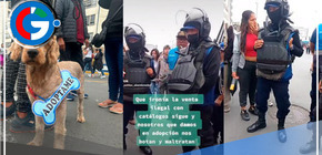Asociación de adopción de mascotas denuncia que son botados por fiscalizadores de la MML