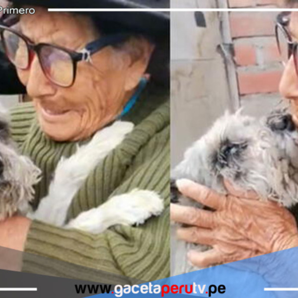¡Reencuentro de película! Abuelita de 103 años encontró a Raylu, su perrito perdido hace más de 2 semanas en Ate