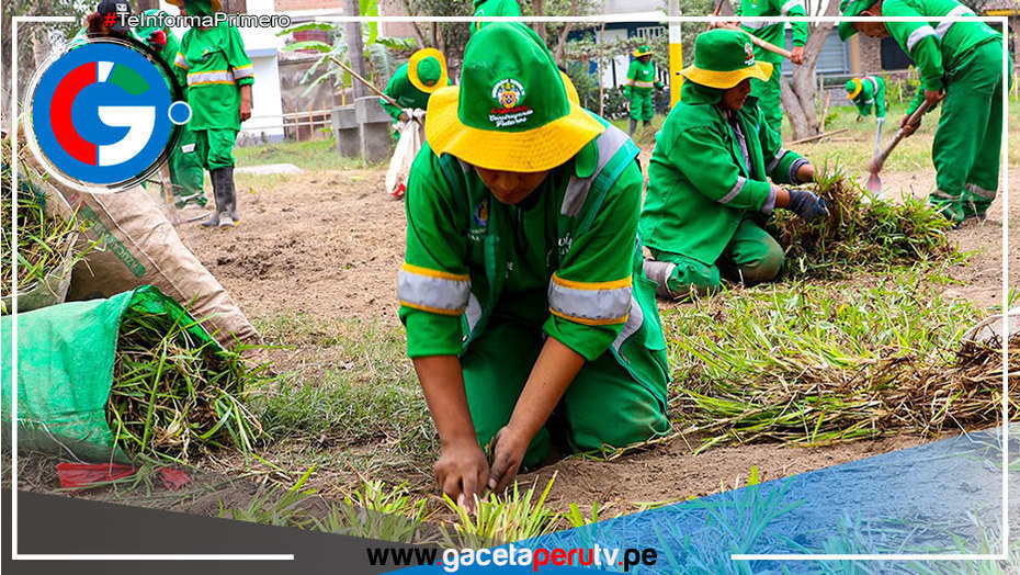 Recuperar los 340 parques en todo el distrito es la consigan del alcalde de Comas