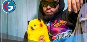 Erik Torres de World-Famous Puppies aseguró la seguridad de sus mascotas